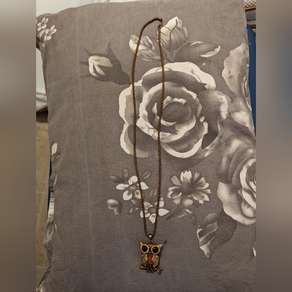 🌟3/$20🌟Vintage-style Long Owl Necklace - Picture 4 of 5
